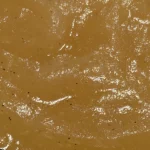compote-pomme-vanille-la-mentina-bordeaux-texture