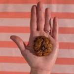 mini-cookie-graines-maison-main-la-mentina-bordeaux